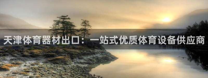 星欧娱乐公司电话号码：天津体育器材出口：一站式优质体