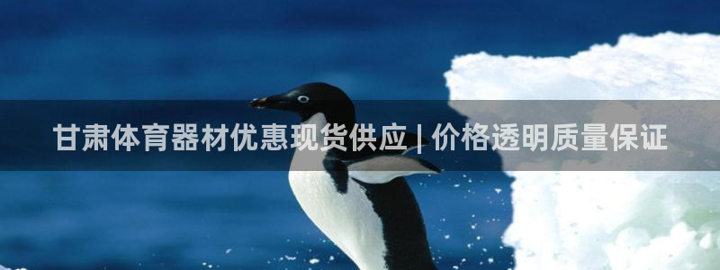 星欧娱乐联客服联系方式：甘肃体育器材优惠现货供应 |