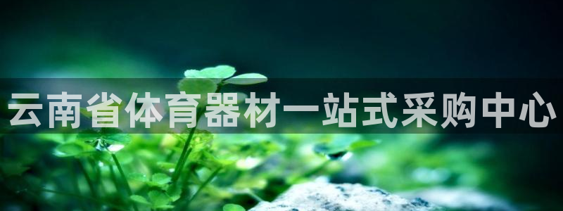 星欧娱乐扣款流程详解图片：云南省体育器材一站式采购中