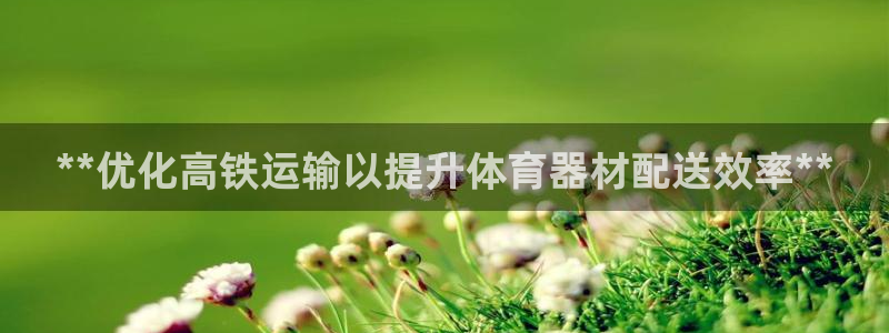 星娱乐文化传媒有限公司：**优化高铁运输以提升体育器