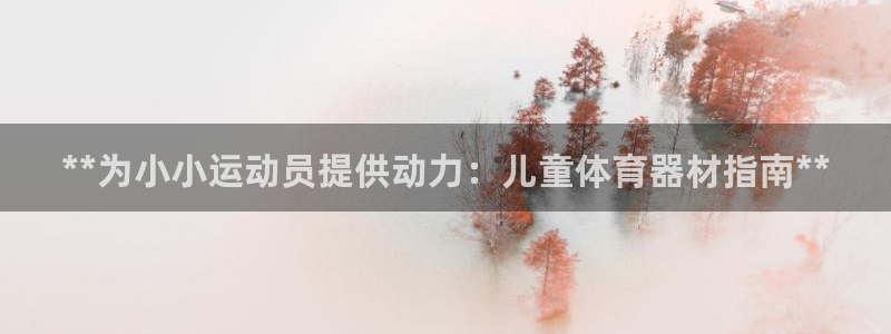 星欧娱乐挂机：**为小小运动员提供动力：儿童体育器材