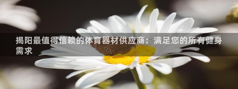 星澳娱乐公司：揭阳最值得信赖的体育器材供应商：满足您