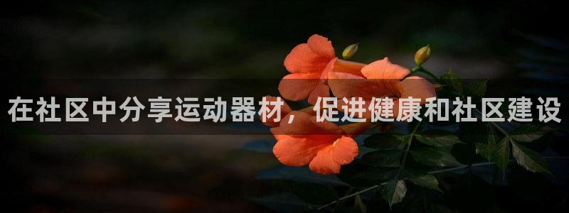 星欧娱乐扣款流程详解视频播放：在社区中分享运动器材，