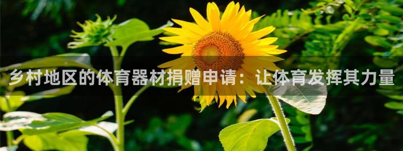 星欧娱乐是正规平台吗安全吗：乡村地区的体育器材捐赠申
