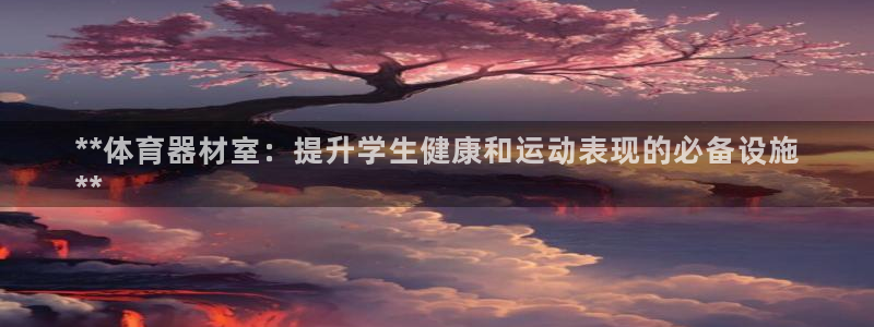 星欧娱乐是正规平台吗安全吗知乎：**体育器材室：提升