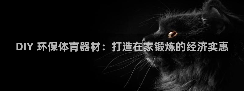 星欧娱乐扣款时间查询方法怎么查不到：DIY 环保体育