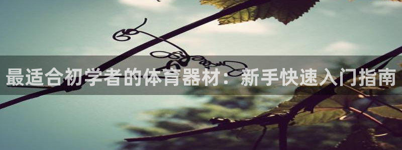 星澳娱乐公司怎么样：最适合初学者的体育器材：新手快速入门指南