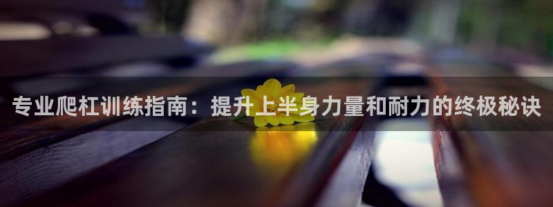 星欧娱乐工711.11是正规的吗：专业爬杠训练指南：