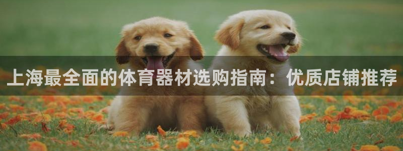 星欧娱乐平台道7O777：上海最全面的体育器材选购指