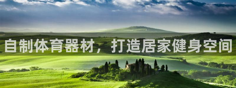 星奥娱乐集团股份有限公司官网：自制体育器材，打造居家
