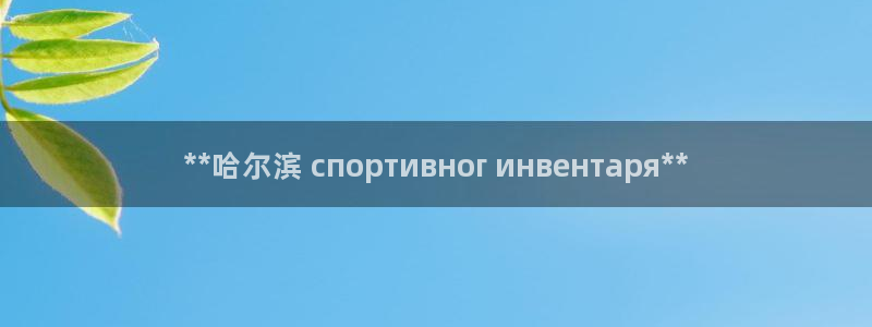 星欧娱乐平台怎么样啊可靠吗：**哈尔滨 спорти