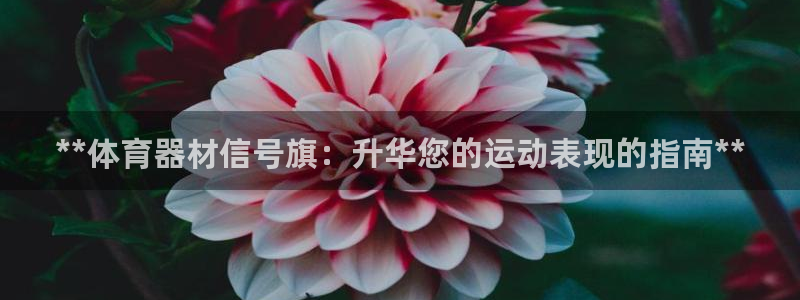 星奥娱乐待遇怎么样：**体育器材信号旗：升华您的运动