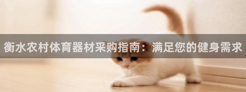 星欧娱乐法最新进展：衡水农村体育器材采购指南：满足您的健身需