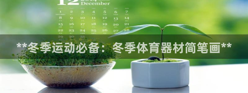星欧娱乐公司简介：**冬季运动必备：冬季体育器材简笔画**