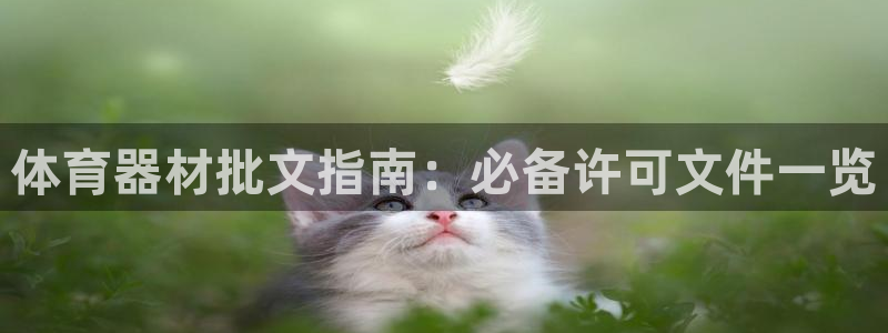 星欧娱乐扣款：体育器材批文指南：必备许可文件一览