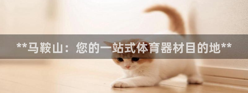 星欧娱乐联售后服务评价：**马鞍山：您的一站式体育器