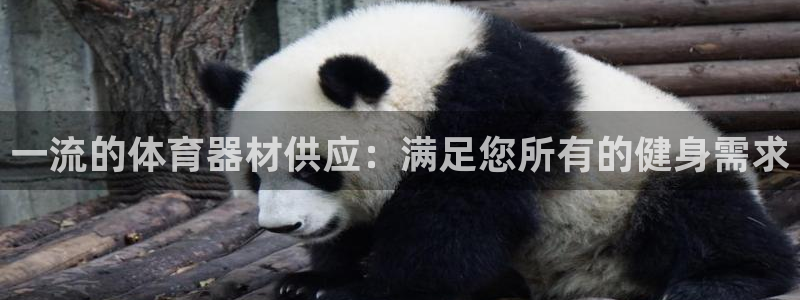 星欧娱乐会员优惠活动：一流的体育器材供应：满足您所有