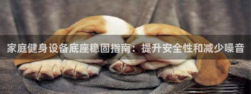 星欧娱乐联最新功能介绍：家庭健身设备底座稳固指南：提