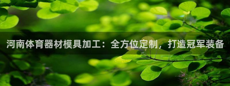 星娱乐包月是干嘛的：河南体育器材模具加工：全方位定制