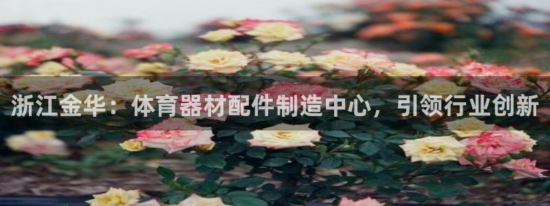 星欧娱乐app最新版本更新内容下载：浙江金华：体育器材配件制