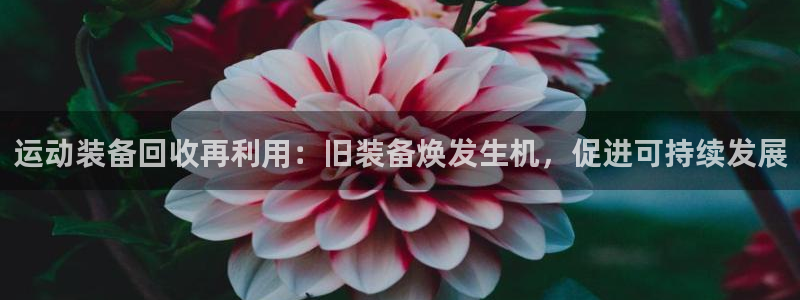 星欧娱乐挂机赚钱是真的吗：运动装备回收再利用：旧装备