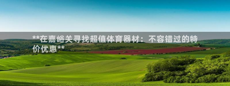 星奥娱乐集团股份有限公司怎么样：**在嘉峪关寻找超值