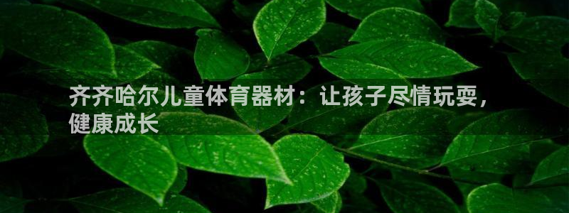 星奥娱乐旗下艺人：齐齐哈尔儿童体育器材：让孩子尽情玩耍，
健