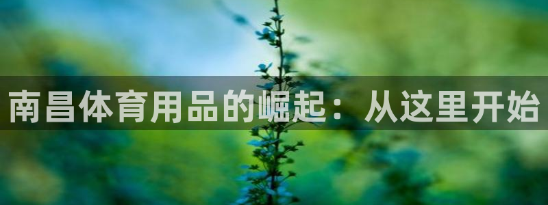 星奥娱乐集团股份有限公司招聘