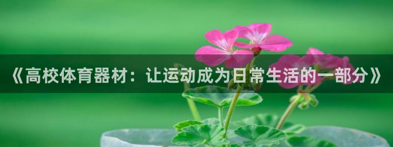 星欧娱乐扣款