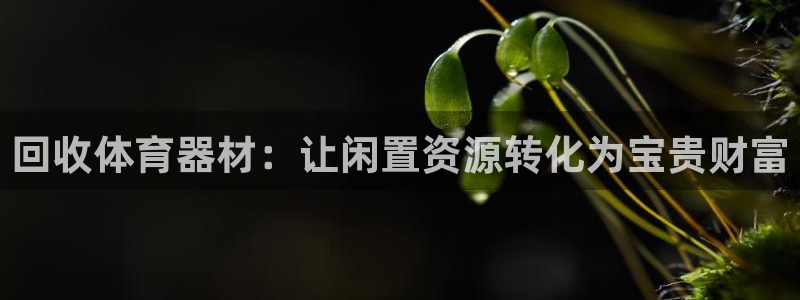 星欧娱乐公司创始人背景故事介绍