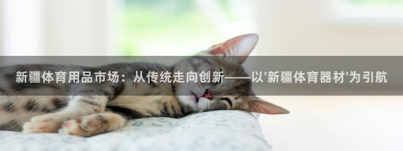 星欧娱乐平台测速线路怎么设置