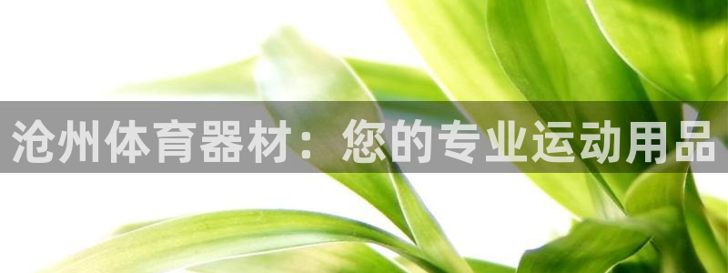 星欧娱乐官网下载