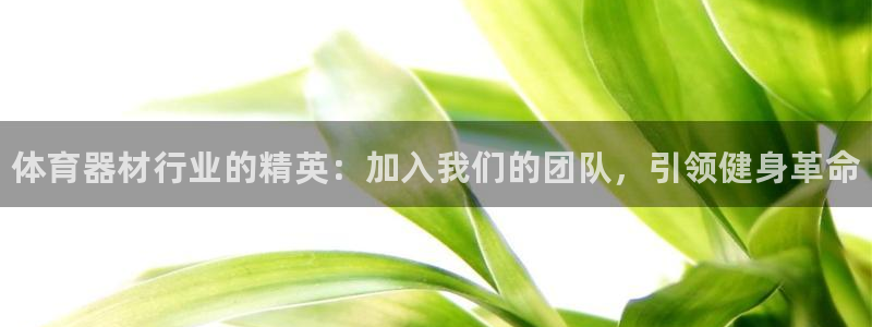 星欧娱乐还能玩吗：体育器材行业的精英：加入我们的团队