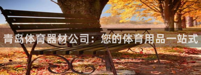 星欧娱乐彩票软件下载：青岛体育器材公司：您的体育用品一站式 