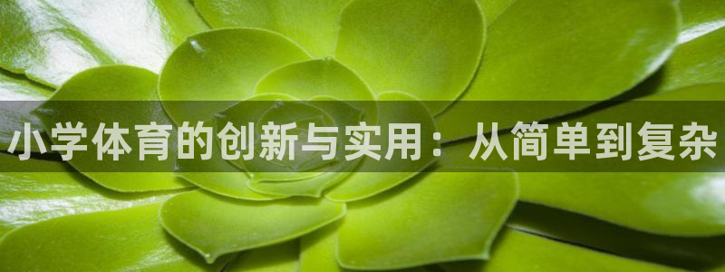 星欧娱乐方7O777：小学体育的创新与实用：从简单到复杂