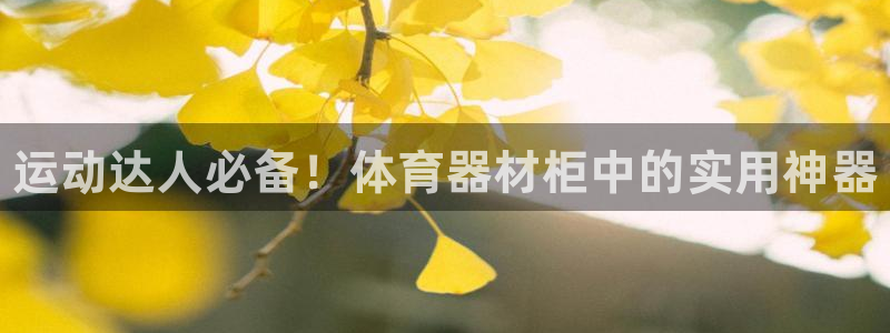 星欧娱乐官网首页入口：运动达人必备！体育器材柜中的实