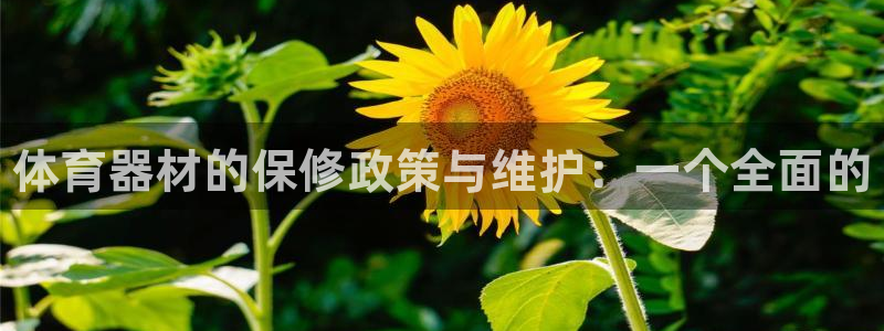 星欧娱乐24小时客服电话：体育器材的保修政策与维护：一个全面