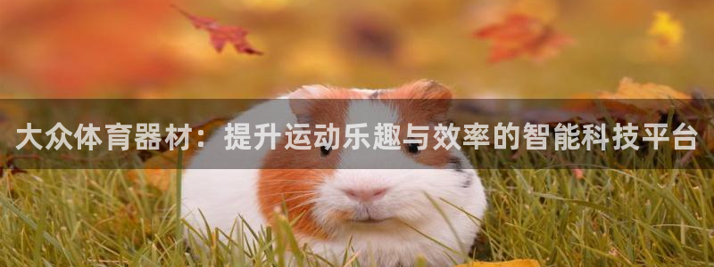 星欧娱乐联和哪个品牌合作：大众体育器材：提升运动乐趣与效率的 