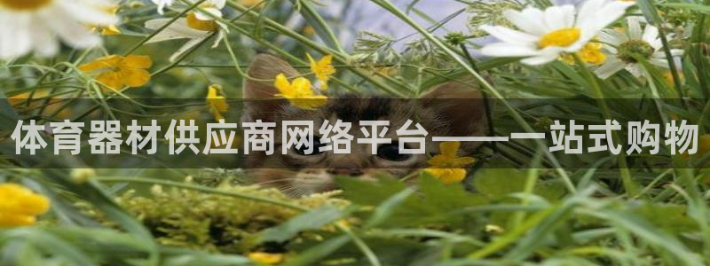 星欧娱乐是什么品牌：体育器材供应商网络平台——一站式