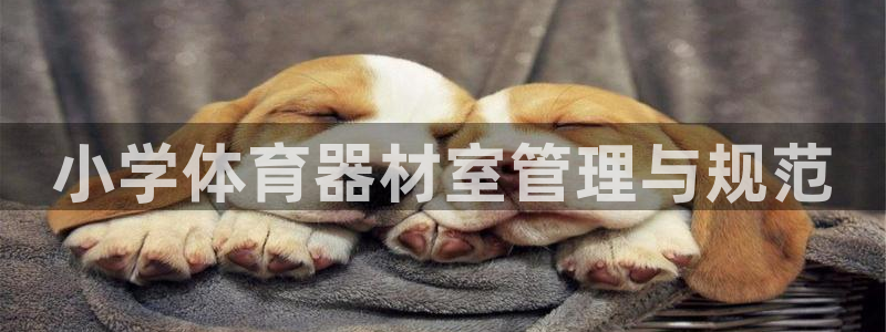 星奥娱乐微博：小学体育器材室管理与规范