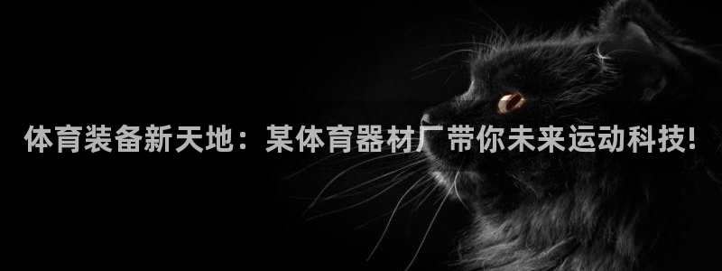 星娱乐包月是干嘛的：体育装备新天地：某体育器材厂带你