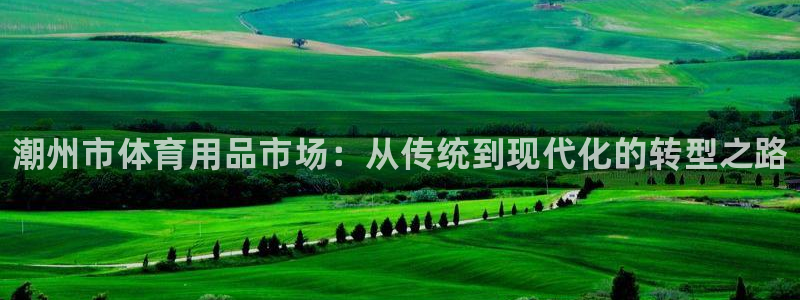 星欧娱乐扣款流程详解图：潮州市体育用品市场：从传统到