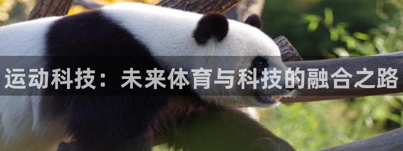 星澳娱乐公司怎么样：运动科技：未来体育与科技的融合之路